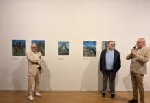 Dole. Le musée des Beaux-Arts de Dole s’enrichit de nouvelles oeuvres Donation Marc Desgrandchamps Dole
