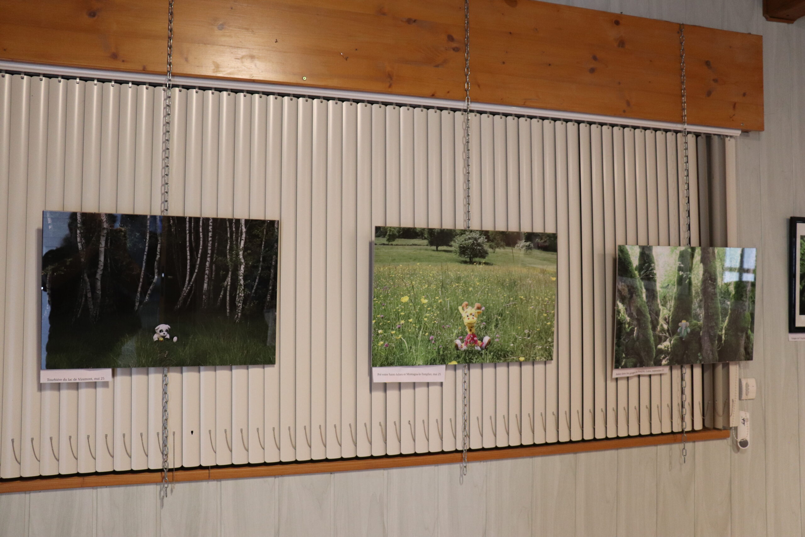 Photographies de peluches mises en scène en paysages jurassiens à la recyclerie d'Arinthod