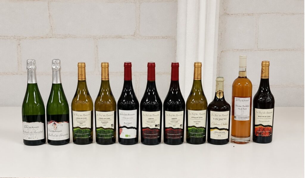 Vignes et rangs de vigne du Bief des Roussets