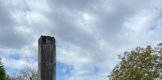 Série d’été (3/5). Le Haut-Bugey à travers les âges : la cité antique d’Isarnodurum, une incursion chez les Gallo-Romains Isarnodurum Izernore antique