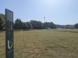 station lavage zone milleure