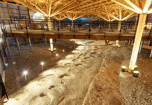 Dinoplagne Plagne dinosaures