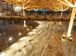 Série d’été (1/5). Le Haut-Bugey à travers les âges : sur les traces des dinosaures à Plagne Dinoplagne Plagne dinosaures