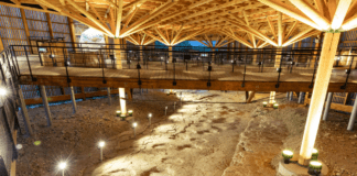 Série d’été (1/5). Le Haut-Bugey à travers les âges : sur les traces des dinosaures à Plagne Dinoplagne Plagne dinosaures