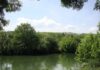 Saint-Usuge. Entre Seille et bois : une immersion au cœur des anciennes fermes bressanes randonnée Saint-Usuge