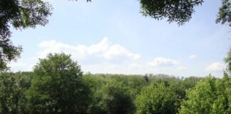 Saint-Usuge. Entre Seille et bois : une immersion au cœur des anciennes fermes bressanes randonnée Saint-Usuge