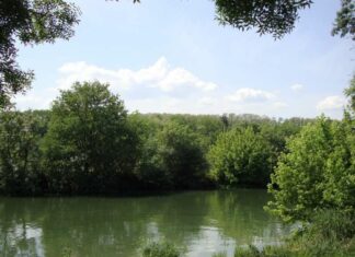 Saint-Usuge. Entre Seille et bois : une immersion au cœur des anciennes fermes bressanes randonnée Saint-Usuge