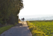 Bresse Louhannaise. De champs en forêt, à la découverte de Frangy-en-Bresse randonnée Frangy Bresse