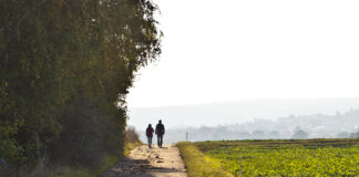Bresse Louhannaise. De champs en forêt, à la découverte de Frangy-en-Bresse randonnée Frangy Bresse