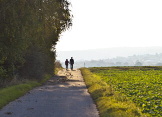 randonnée Frangy Bresse