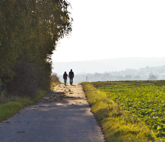 randonnée Frangy Bresse