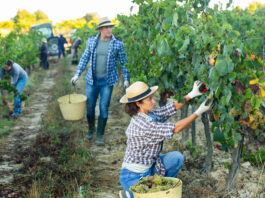 Emplois saisonniers Jura BMO