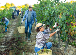 Emplois saisonniers Jura BMO
