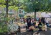 Chaussin. Un premier bilan encourageant pour le retour des marchés marché Chaussin été
