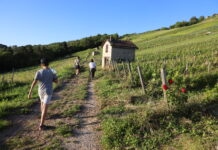 Ain. Dans le Bugey, partez à la découverte du Cerdon avec Vaingabond Vaingabond Cerdon Bugey