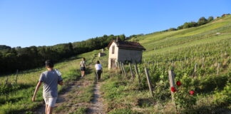 Vaingabond Cerdon Bugey