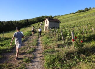 Vaingabond Cerdon Bugey