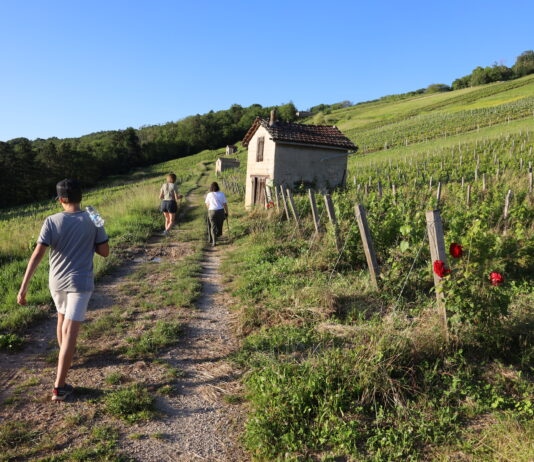 Vaingabond Cerdon Bugey