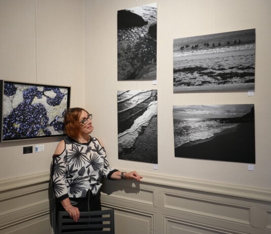 Oyonnax Emmanuelle Brémond exposition