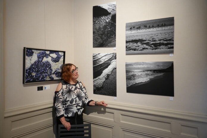 Oyonnax Emmanuelle Brémond exposition