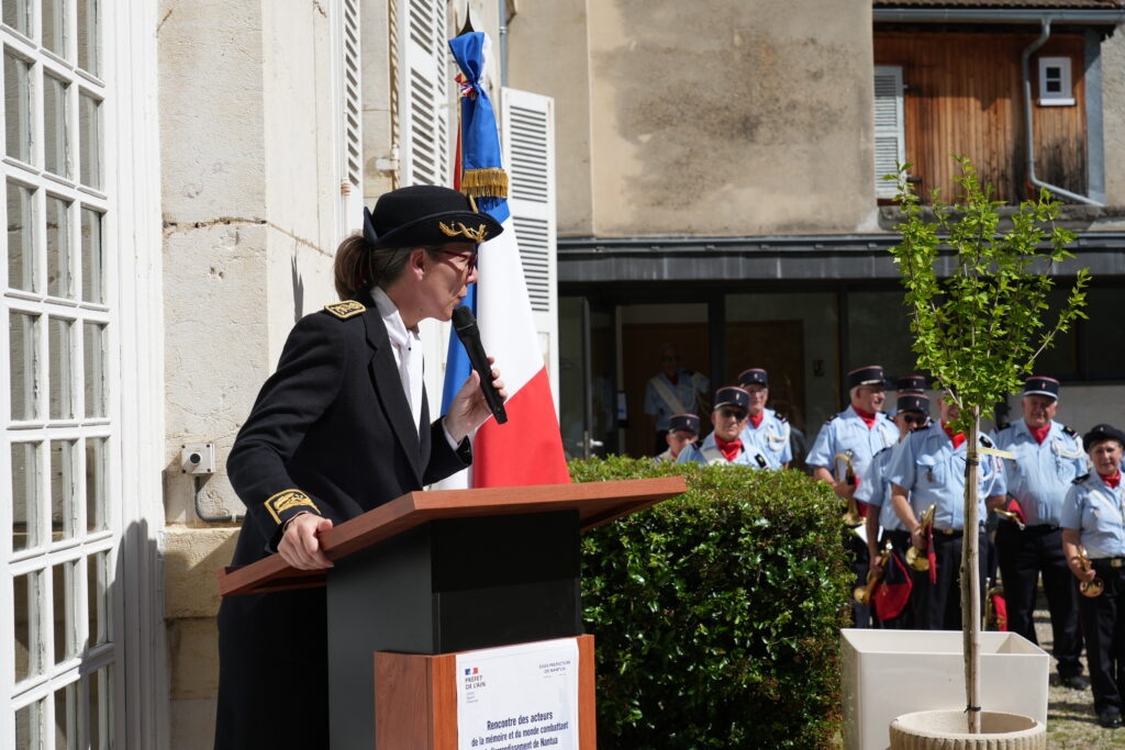 devoir mémoire Nantua