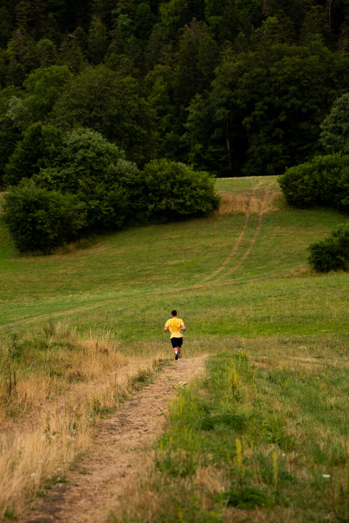 Paysage naturel du Haut-Bugey, sentier en forêt