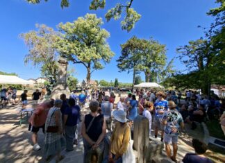 Poligny. Un nouveau chapitre s’ouvre pour la Promenade Piquet Promenade Piquet Poligny