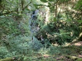 Saint-Claude. Le sentier des gorges de l’Abîme a rouvert au public Saint-Claude gorges Abîme