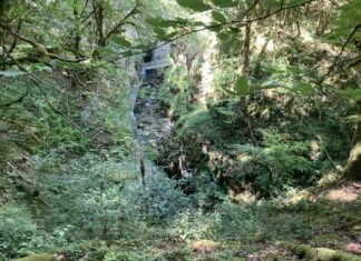 Saint-Claude. Le sentier des gorges de l’Abîme a rouvert au public Saint-Claude gorges Abîme