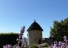 Cité Vins Château-Chalon