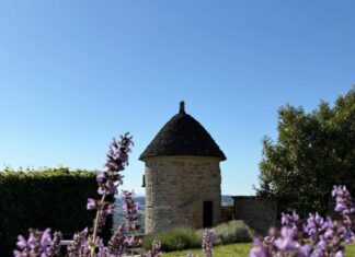 Château-Chalon. La Cité des Vins prend forme, le plan de financement voté Cité Vins Château-Chalon