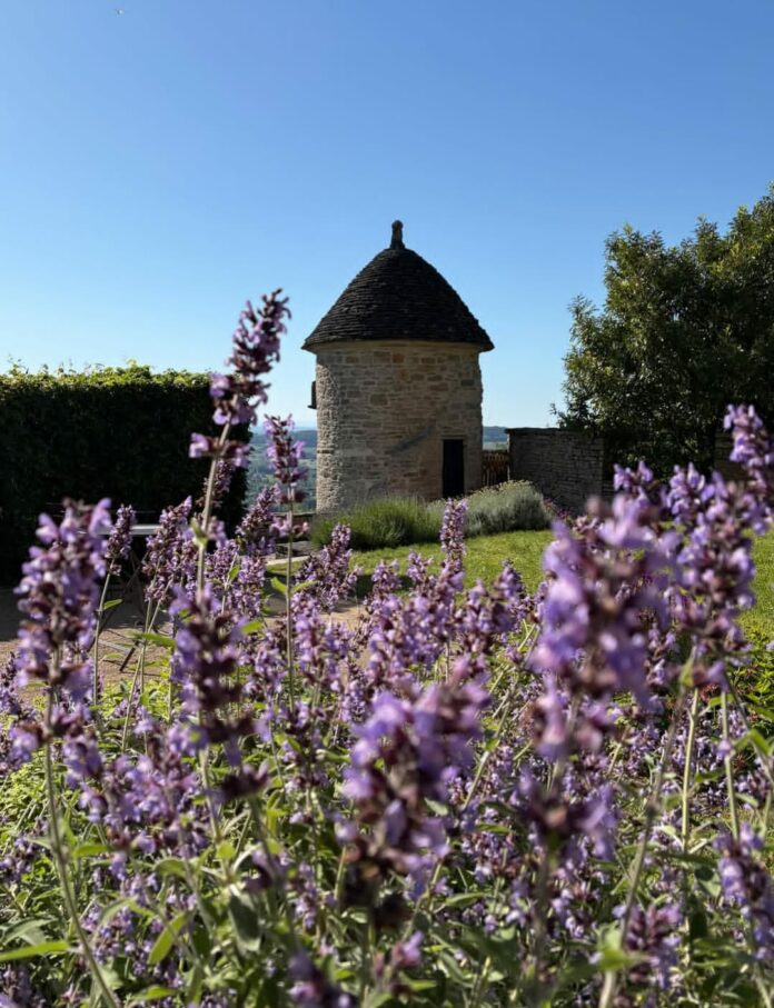 Cité Vins Château-Chalon