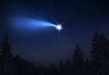 étoiles filantes été