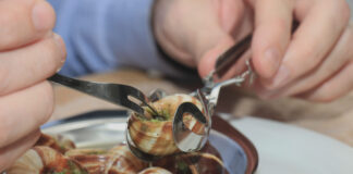 Villeneuve-d’Aval. La folle soirée des escargots se prépare Fête escargot Villeneuve Aval