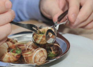 Villeneuve-d’Aval. La folle soirée des escargots se prépare Fête escargot Villeneuve Aval