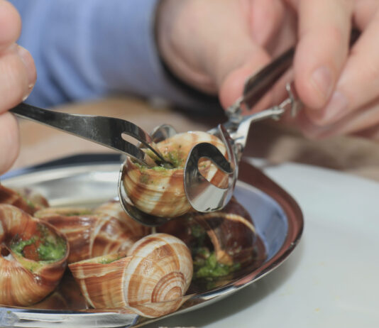 Villeneuve-d’Aval. La folle soirée des escargots se prépare Fête escargot Villeneuve Aval