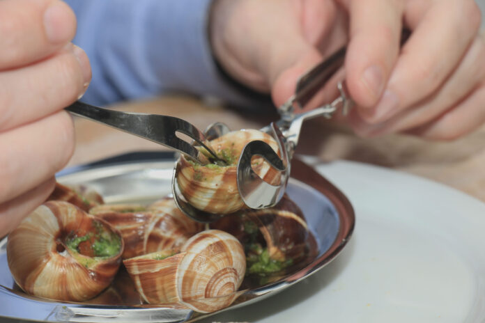 Fête escargot Villeneuve Aval Fête escargot Villeneuve Aval