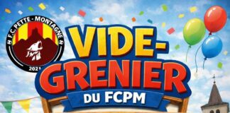 vide-grenier Arinthod