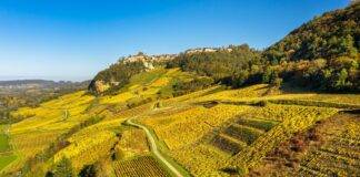 Château-Chalon. Quatre villages pour une appellation d’exception AOC Château-Chalon