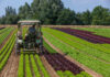 sécheresse agriculture région