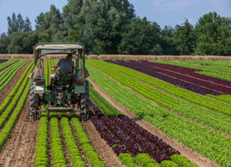 Dossier de la semaine. Suite à la sécheresse, le monde agricole face à un « point de bascule » sécheresse agriculture région