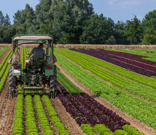 sécheresse agriculture région