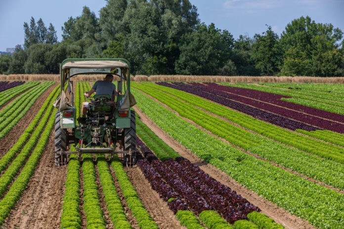 sécheresse agriculture région