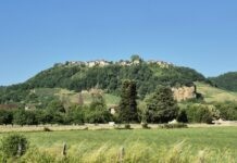 Haute-Seille. Sur les balcons du vignoble jurassien Haute-Seille randonnée vignoble