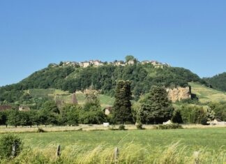 Haute-Seille randonnée vignoble