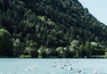 Splash and Run Nantua Gravity Race