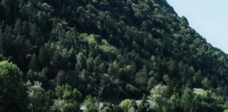 Splash and Run Nantua Gravity Race