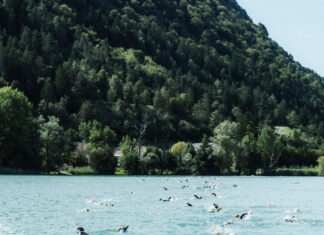 Splash and Run Nantua Gravity Race