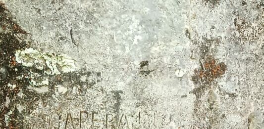 Bois-d’Amont. Sur les traces des contrebandiers du Risoux forêt Risoux Bois-d'Amont