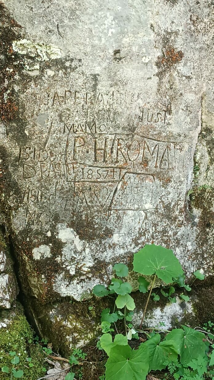 forêt Risoux Bois-d'Amont